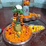 Avi Bajpai - @avibajpai79 - Instagram