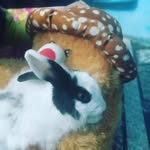 Avi Bajpai - @avibajpai51 - Instagram