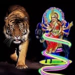 Avi Gajjar - @gajjaravi12 - Instagram