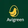 Avigreen - @avigreen.peru - TikTok
