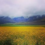 @helman.ghavi999 - Instagram
