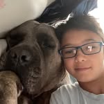 Avi levin - @avilevin55 - Instagram