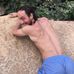 Avi Lupovitch - Facebook