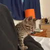 avijoelmarcus - @avijoelmarcus - TikTok