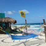 Avraham Natani - @avinatani - Instagram