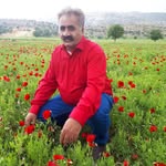 seyed gharib - @avina_taniya - Instagram