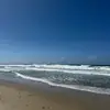 Alexandra Avila - @avilanewman_04 - TikTok