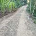 Avi Perez - Facebook
