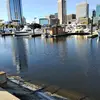 Avi R perez - @avi.r.perez - TikTok