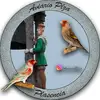 Eduardo Plaza - @aviario_plaza - TikTok