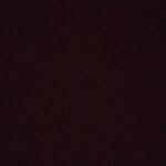 Avi - @avipolak70 - Instagram