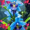 Avi Ram - @avi.ram8 - TikTok