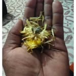 Avi Ramu - @avi.ramu___47 - Instagram