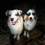 ᗩᐯI & ᖇᗩY - @a.v.i.r.a.y - Instagram