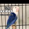 S. M. Aviray - @s.m.aviray5 - TikTok