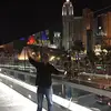 avirosengarten - @avirosengarten - TikTok