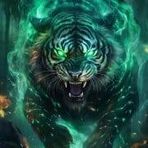 Avi Roy - Facebook