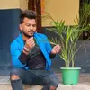 Avi roy - @aviroy515 - TikTok