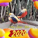 Avi Sagi - @avi.sagi - Instagram