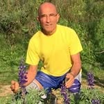 Avi Sagiv - @sagiv.ar - Instagram
