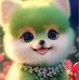 Avi Saini - Facebook