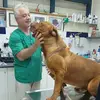 מרפאה וטרינרית אבי צרפתי - @dr.avisarfati - TikTok