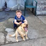 Avigail - @avigail_silberman - Instagram