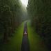 Avi Singh - Facebook
