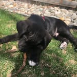 Avitas Spector - @avitas_spector - Instagram