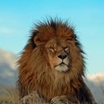 Avinash Janga - @steiner.avi.5 - Instagram
