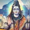 TriveDi Avi - @trivediavi - TikTok