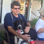 Avishai Wassermann - @wassermannavishai - Instagram