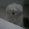 Aviv.wasserman2 - @aviv.wasserman2 - TikTok