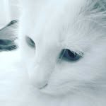 avigail.weinstein - @avigail.weinstein - Instagram