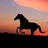 Avi Wolf - @авроравульф      1 - TikTok