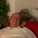 Avi Wolfingher - @wolf.avi - Instagram