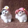 avijeet singh - @user48781610 - TikTok
