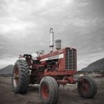 Avinash Desai - @desai_farms - Instagram
