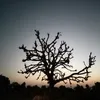Avinashjha - @Avinashjha - TikTok