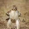 Avis Duncan - @avis.duncan - TikTok