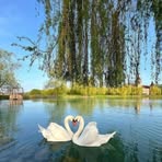 Avis Duncan - Facebook