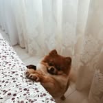 @avis_duncan__iyay - Instagram