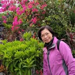 Avis Leung - @avisleungyf - Instagram