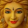 Avnee Sharma - @avneesharma7 - TikTok
