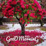 Avnee Sharma - Facebook