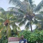 Avneel Narayan - @avneel.narayan.56 - Instagram