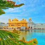 Avneet Sood - Facebook