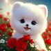 Avni Verma - Facebook