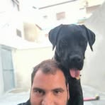 Wilson D'Avó - Facebook