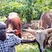 Alex Duku Ivan - Facebook